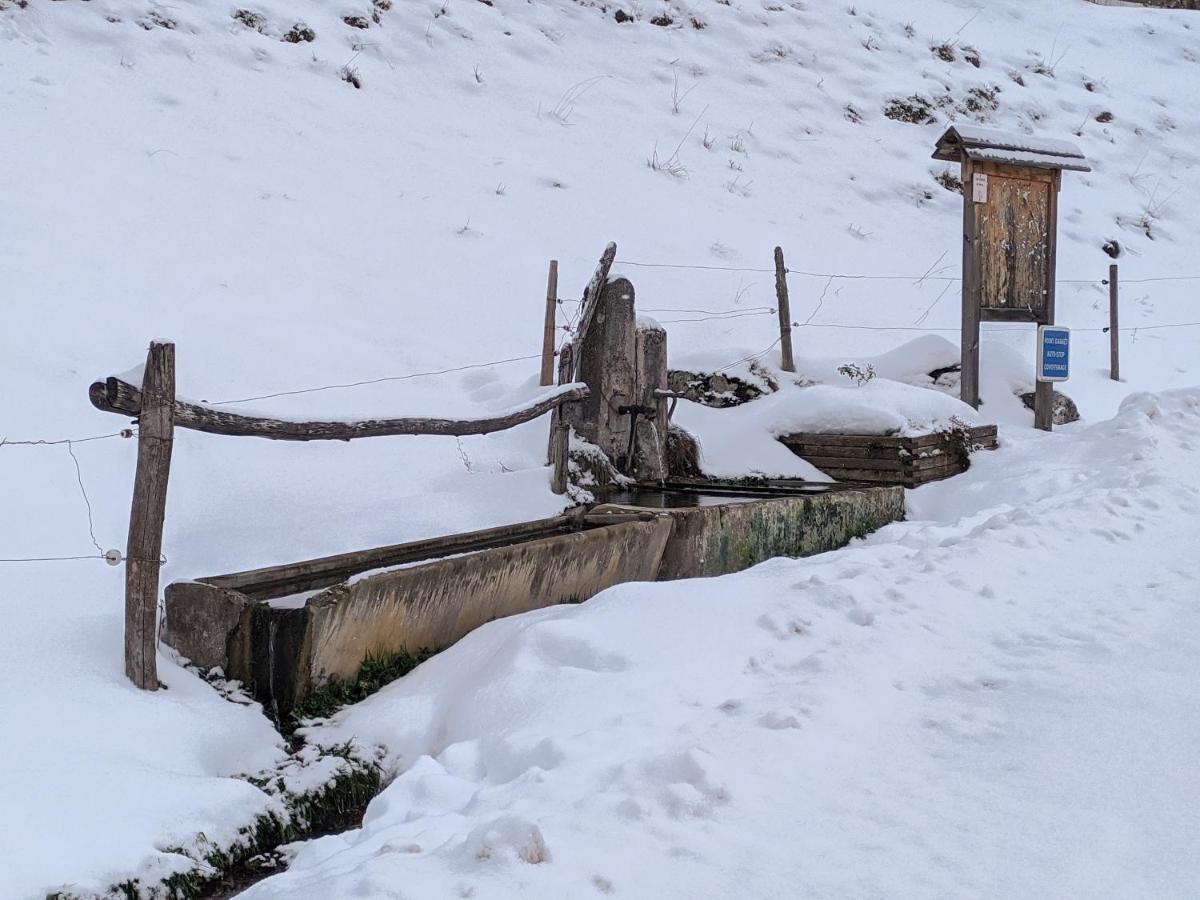 Maison Familiale En Montagne Avec Vue Merveilleuse Sur Le Massif De Belledonne Saint-Bernard  Exteriör bild