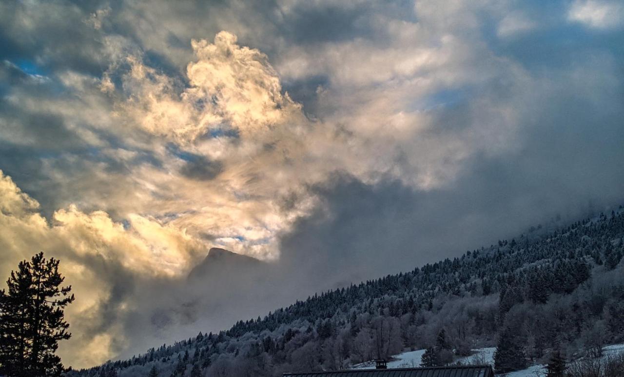Maison Familiale En Montagne Avec Vue Merveilleuse Sur Le Massif De Belledonne Saint-Bernard  Exteriör bild